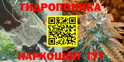 герыч Дубна