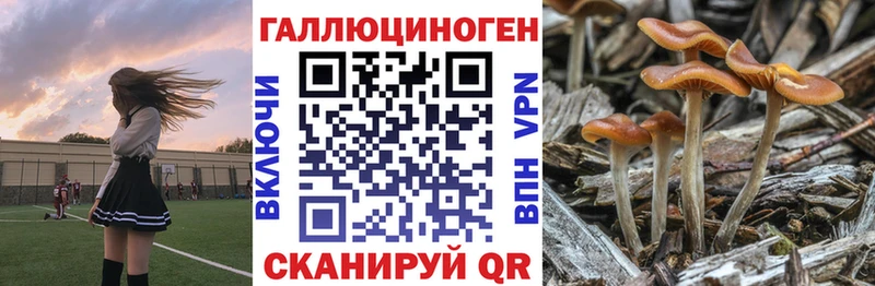 Псилоцибиновые грибы GOLDEN TEACHER  Кизилюрт 