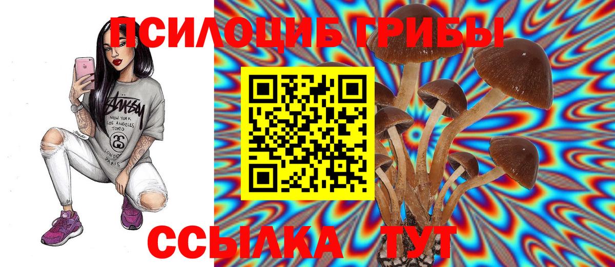 Псилоцибиновые грибы ЛСД  Вход с VPN  Кизилюрт  Галлюциногенные грибы мицелий 