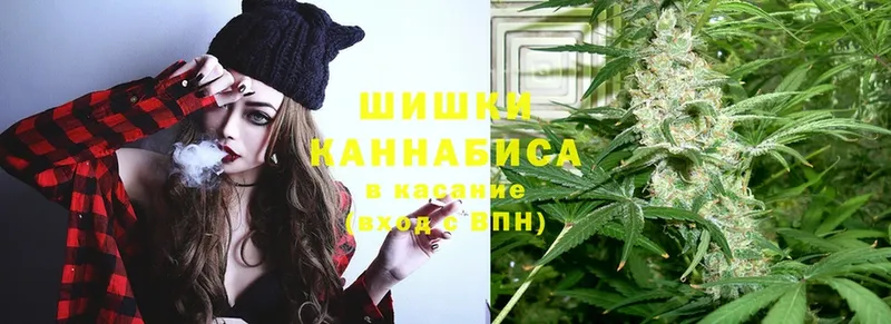 shop какой сайт  Кизилюрт  Каннабис OG Kush 